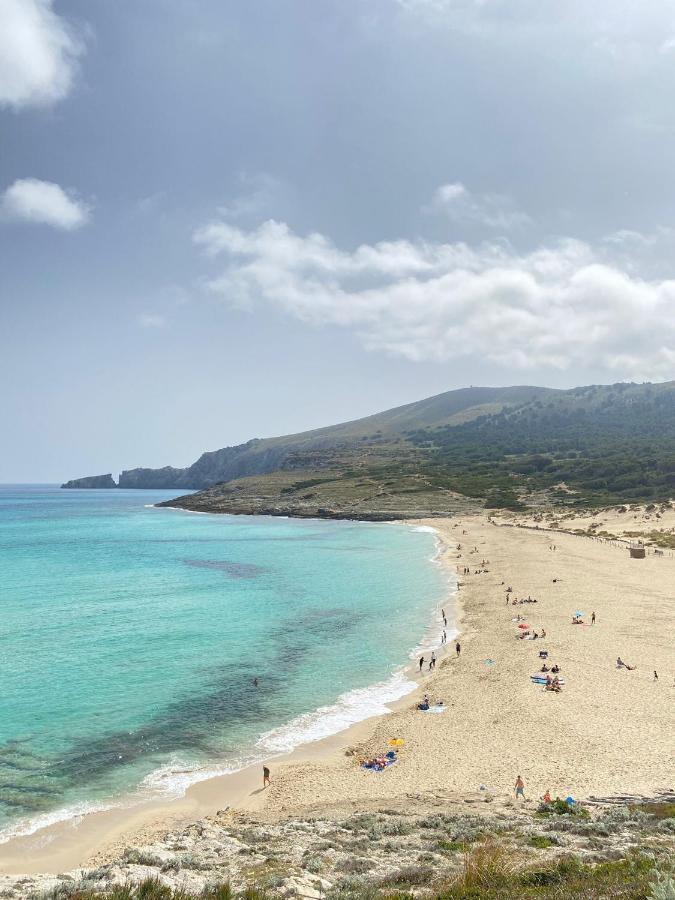 Marina D'Or Villa Rosa Y Celeste サンタニー エクステリア 写真
