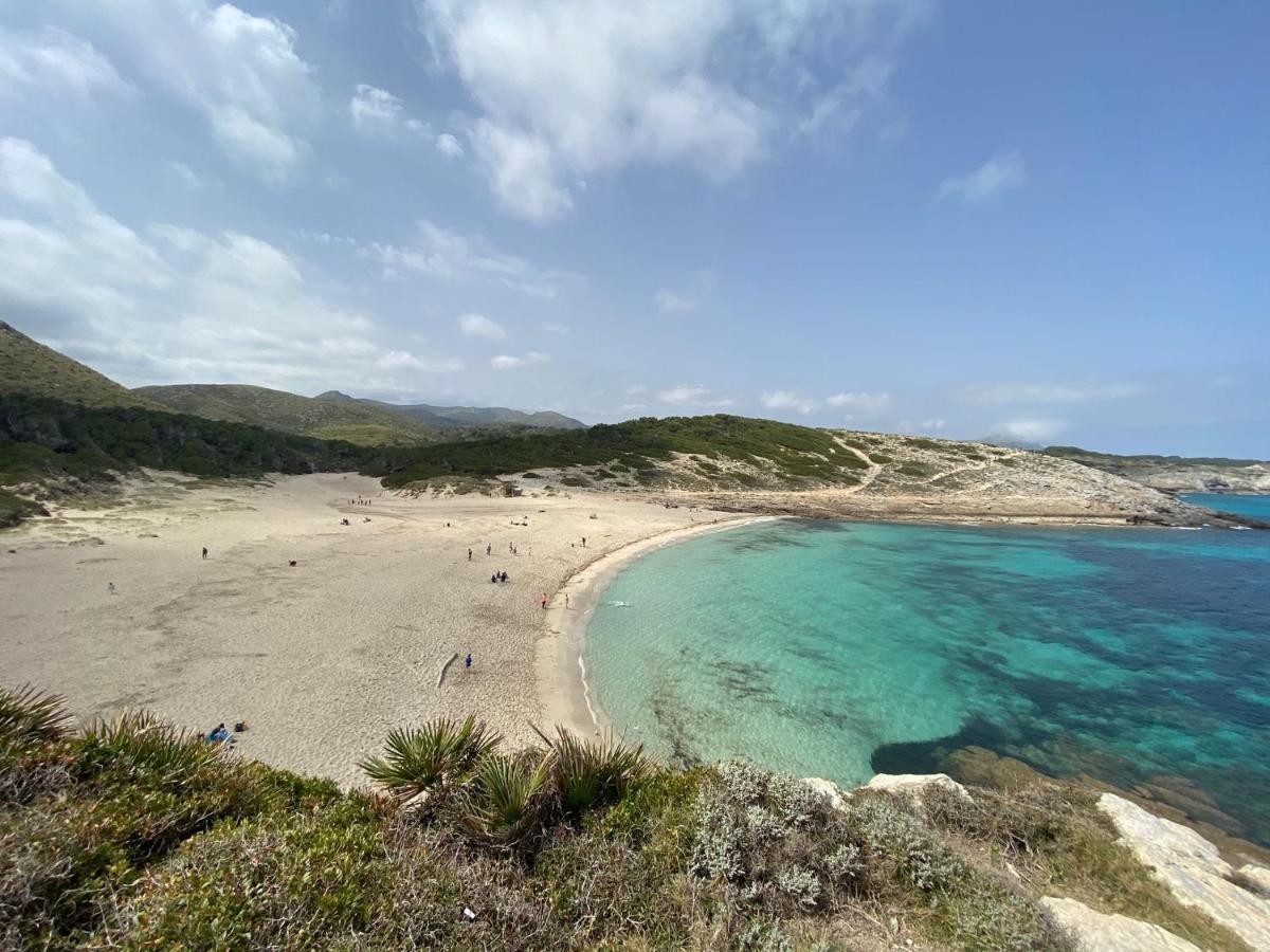 Marina D'Or Villa Rosa Y Celeste サンタニー エクステリア 写真