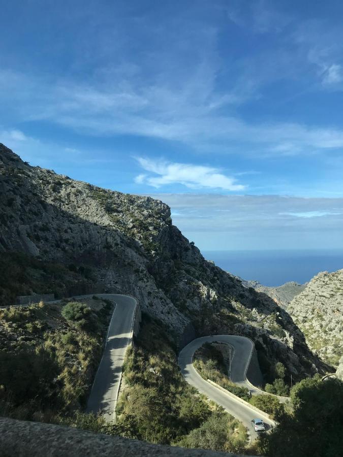 Marina D'Or Villa Rosa Y Celeste サンタニー エクステリア 写真